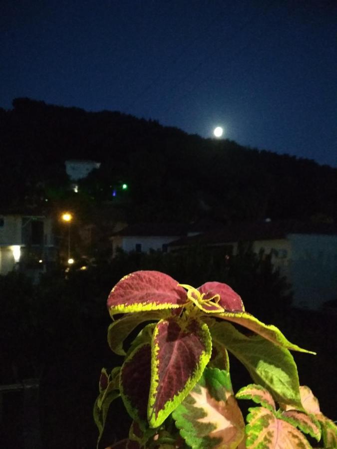Perivoli Tessa'S Apartment Parga Bagian luar foto